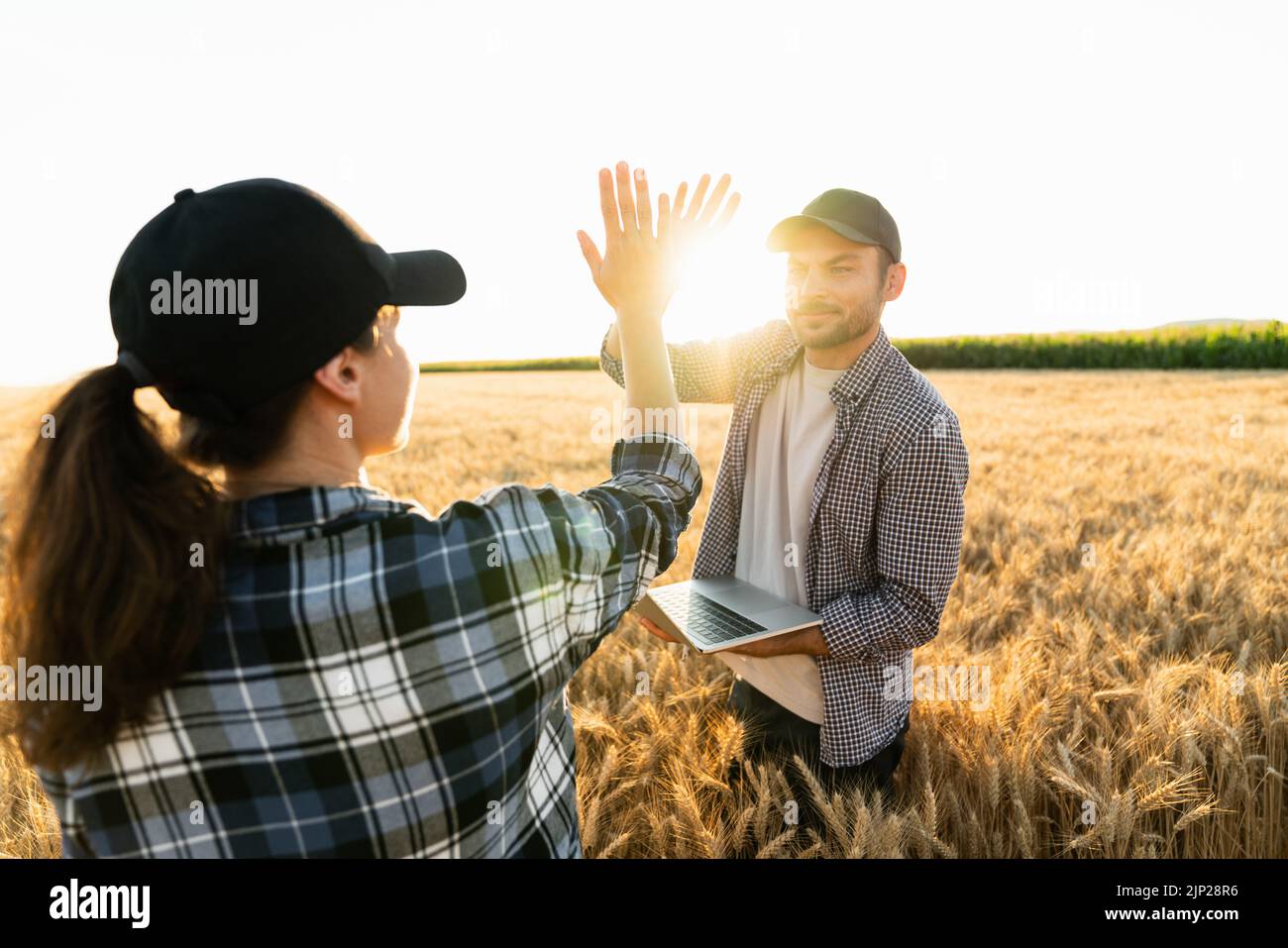 Granjeros hombre y mujer con tableta y portátil alto cinco en el campo de trigo al atardecer Foto de stock