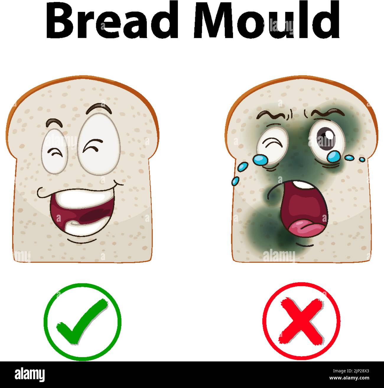 Pan no comestible con ilustración de molde Imagen Vector de stock Alamy