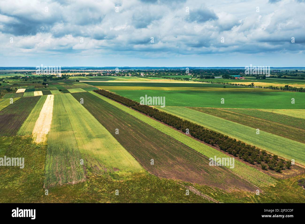 Foto aérea de hermoso paisaje campestre con campos cultivados en Banat, región geográfica de la provincia de Vojvodina en Serbia, drone pov alto an Foto de stock