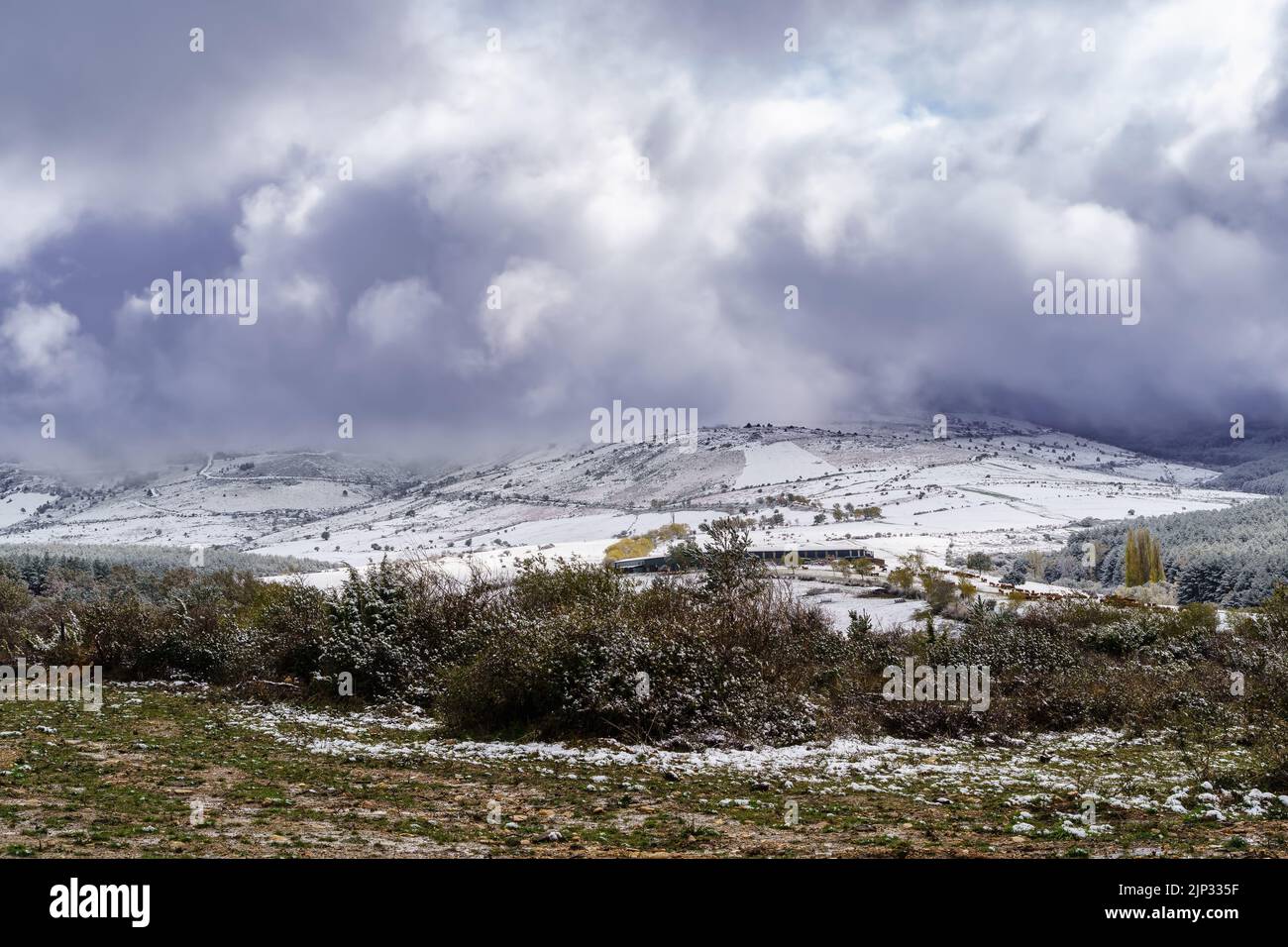 Paisaje de cielo de tormenta de nieve sobre el campo y árboles nevados. Camino de tierra a la montaña. Concepto de nieve. Foto de stock