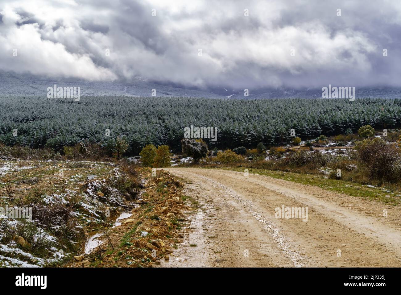 Paisaje de cielo de tormenta de nieve sobre el campo y árboles nevados. Camino de tierra a la montaña. Concepto de nieve. Foto de stock