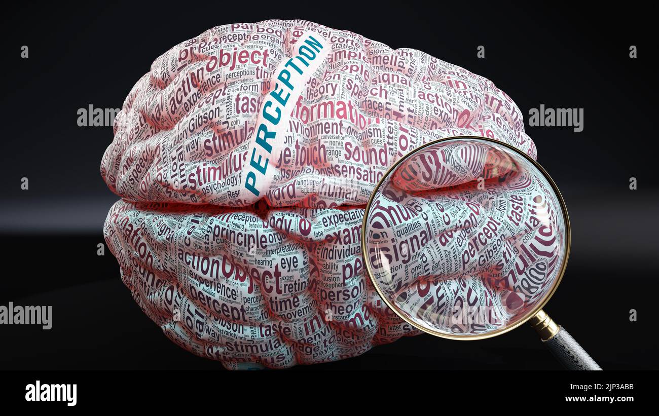 Percepción en el cerebro humano, un concepto que muestra cientos de palabras cruciales relacionadas con la percepción proyectada sobre una corteza para demostrar completamente su amplitud Foto de stock