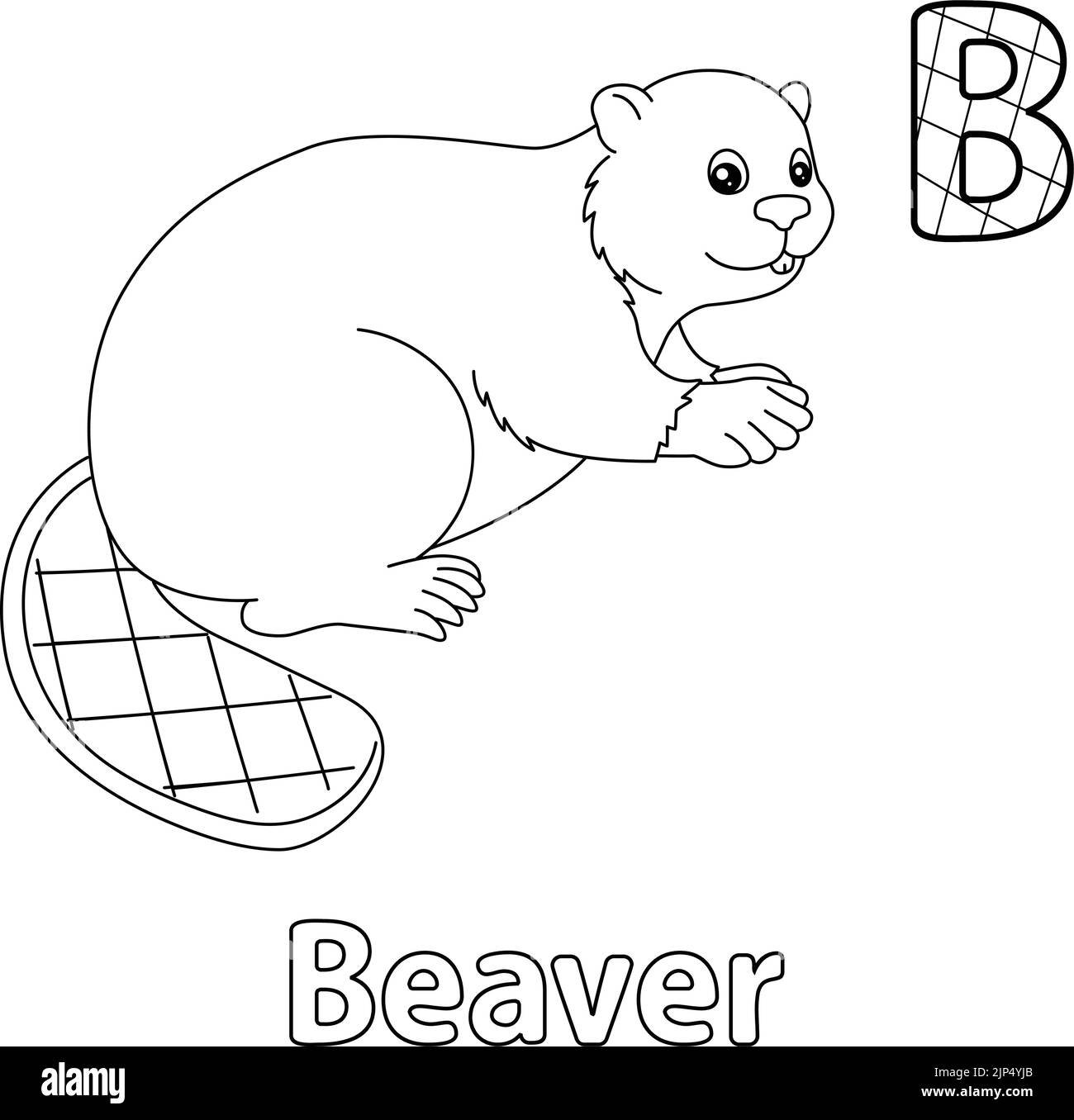 Dibujo de castor Imágenes de stock en blanco y negro Alamy