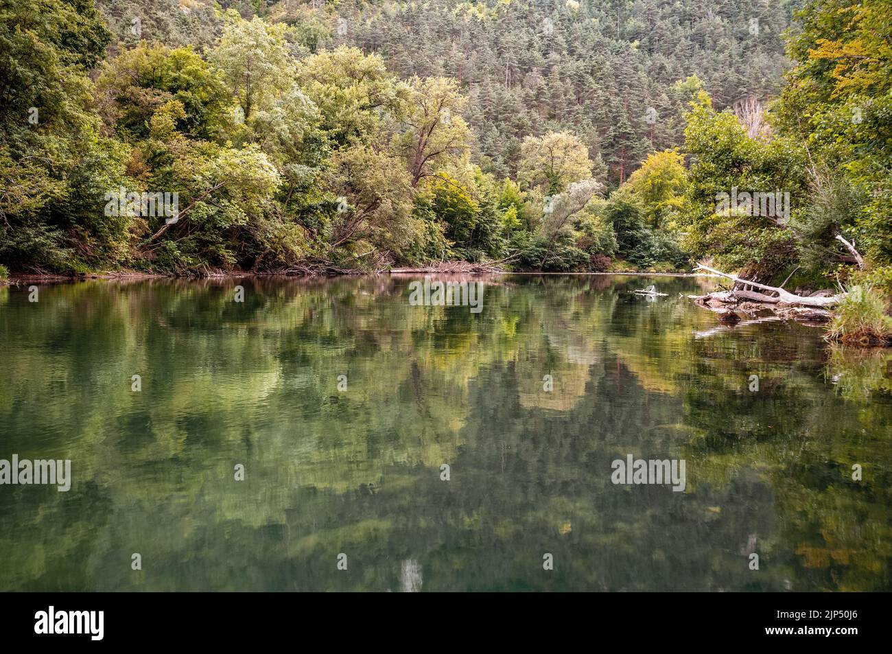 Tranquilidad en las Gorges du Tarn, Lozere, Francia Foto de stock