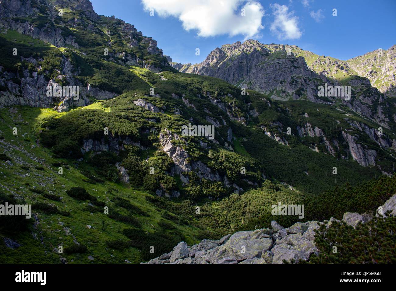 Montañas de Tatry alrededor del valle de Dolina Roztoki cerca de Zakopane, Polonia Foto de stock