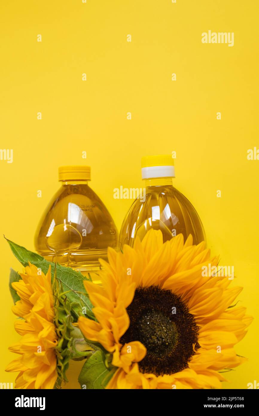 Aceite de girasol. Botellas de aceite y girasoles en un amarillo brillante background.Organic natural granja aceite de girasol. Aceites comestibles. Foto de stock