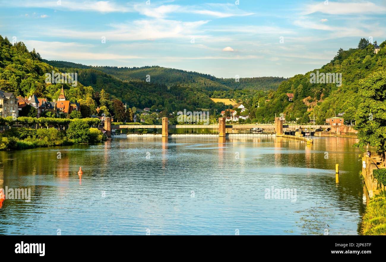 El río Neckar en Heidelberg, Alemania Foto de stock