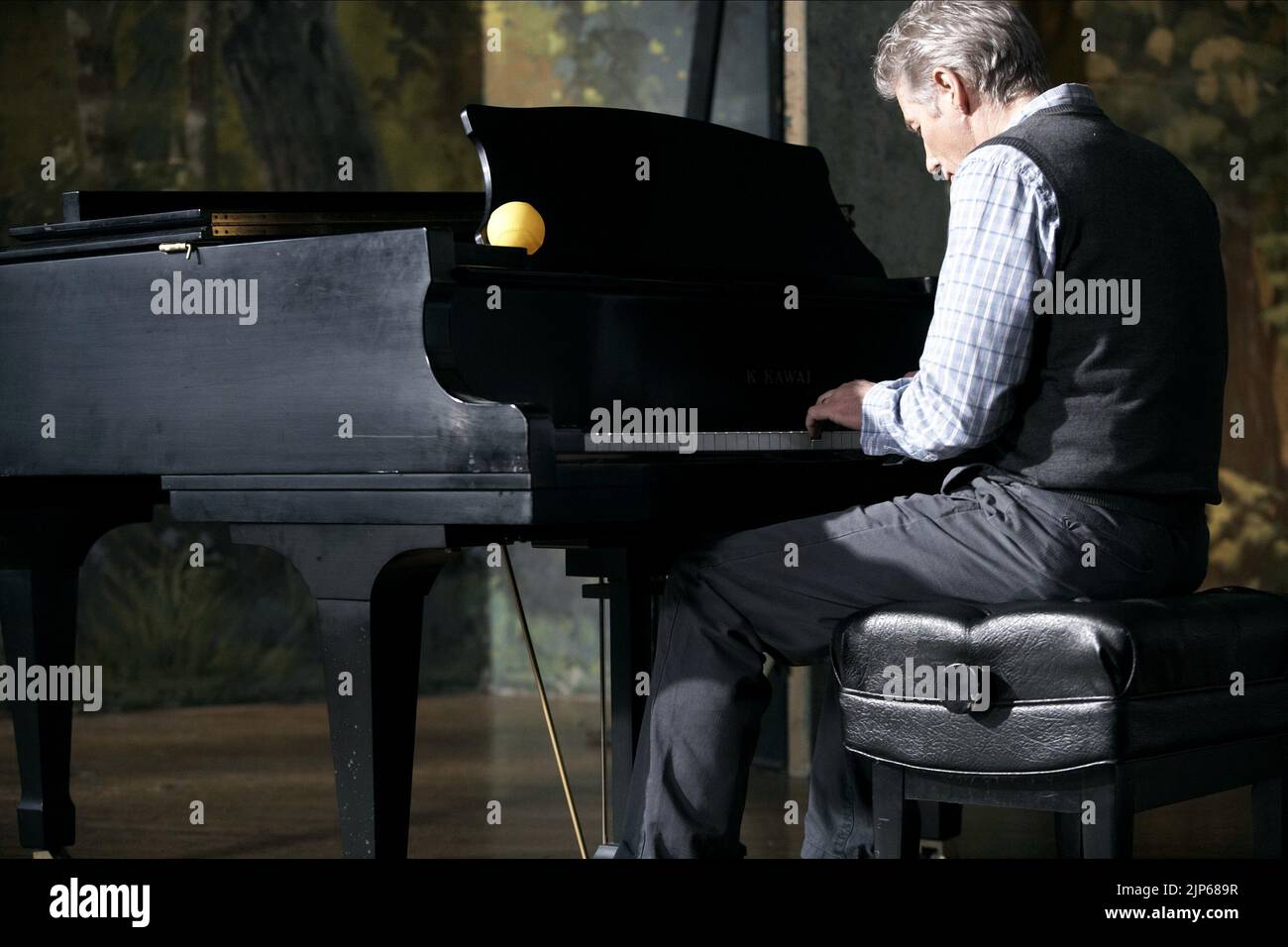 RICHARD GERE, HACHIKO: A DOG'S Story , 2009 Fotografía de stock - Alamy