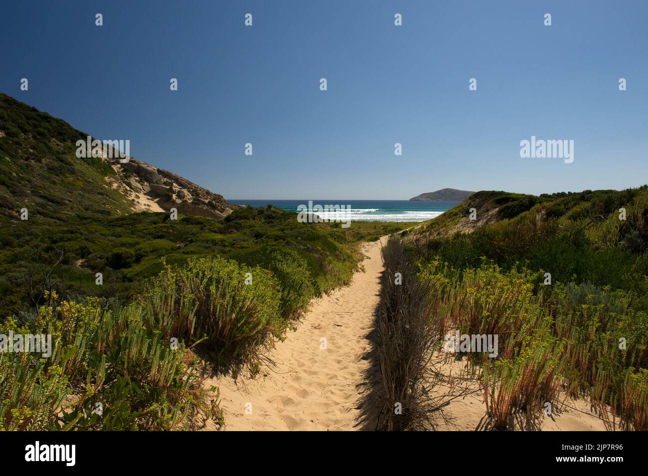 Este es el camino a la playa Tongue Point, arena muy suave, que fue un trabajo duro. ¡Vale la pena cuando te dan una bonita playa para ti! Foto de stock