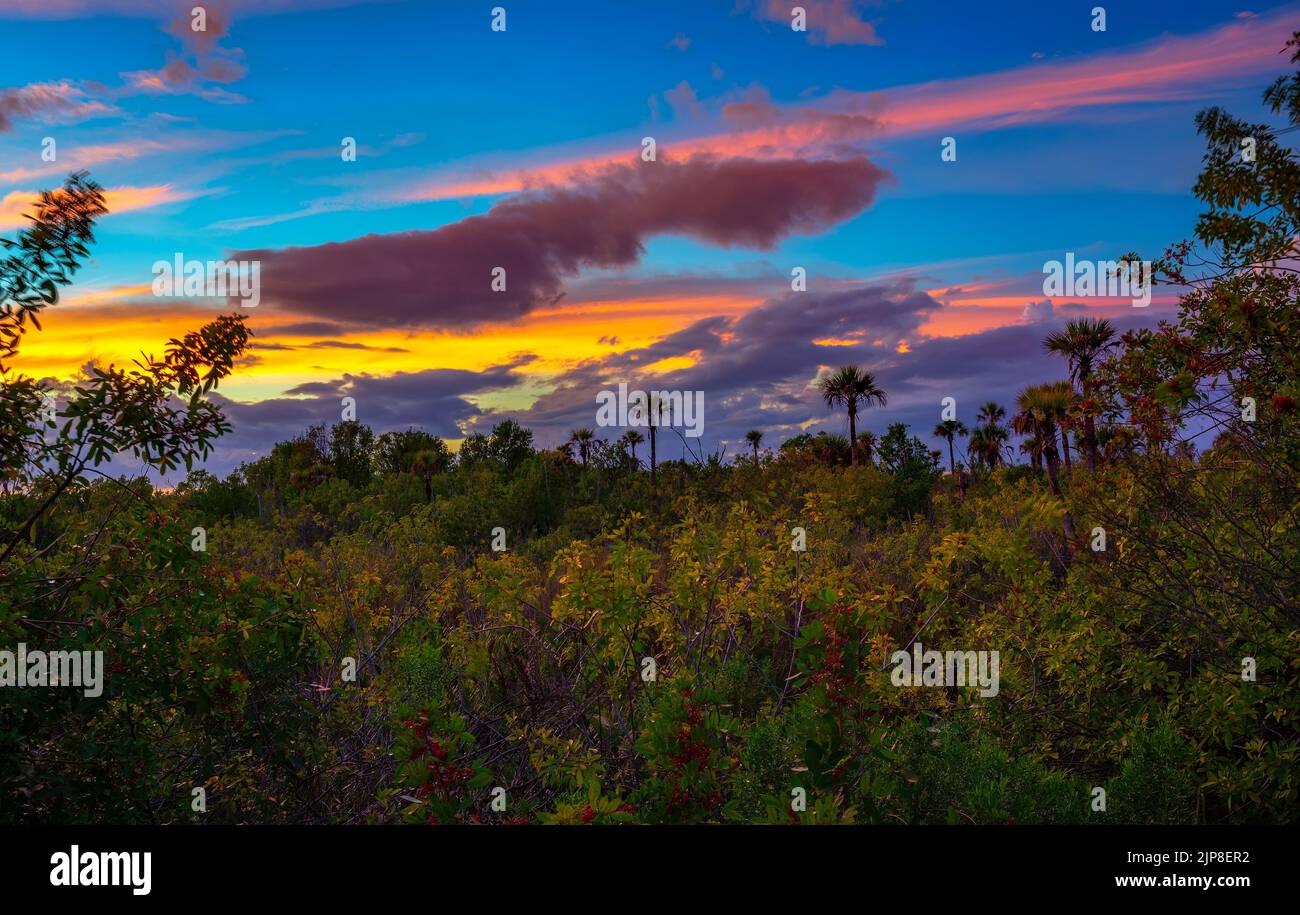 Puesta de sol colorida sobre el Parque Nacional Everglades en Florida Foto de stock