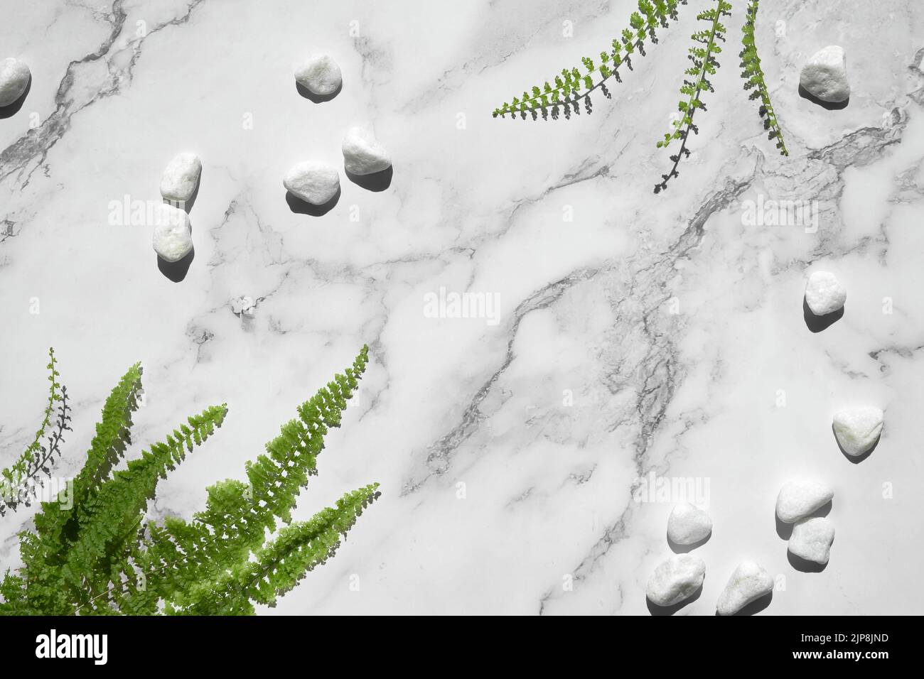 Piedra natural fondo de mármol blanco con exóticas hojas de helecho y piedras blancas. Foto de stock