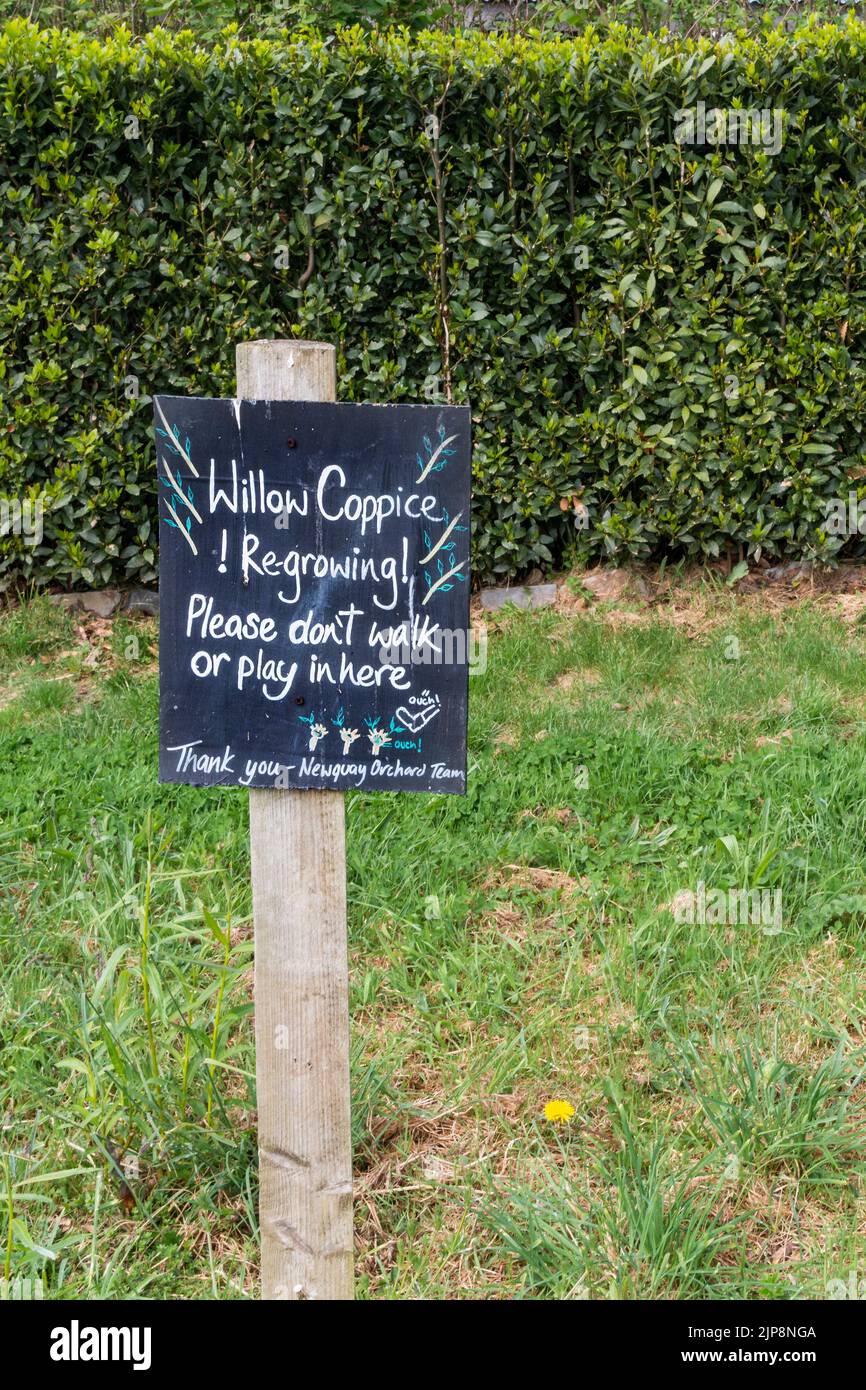 Una señal que protege el copicaje de sauce en Newquay Orchard Una iniciativa comunitaria en Newquay, en Cornwall, Reino Unido. Foto de stock