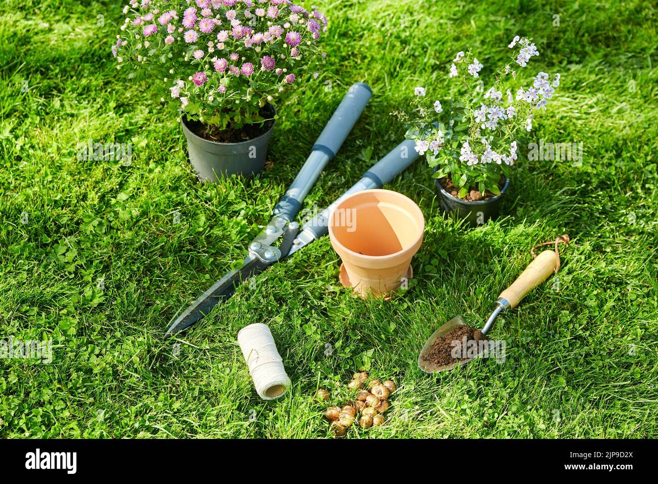 herramientas de jardín, maceta de flores y bulbos en la hierba Foto de stock