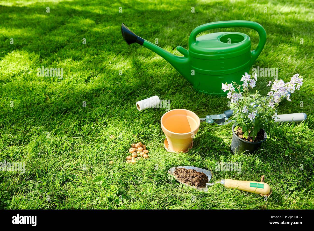 regadera, herramientas de jardín y flores en verano Foto de stock