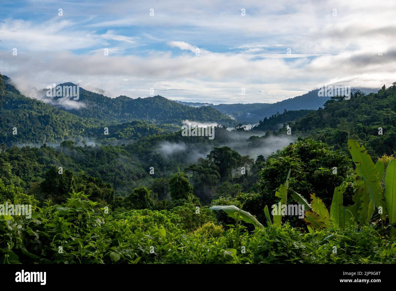 Nubes que surgen de la selva tropical sobre las montañas. Halmahera, Indonesia. Foto de stock