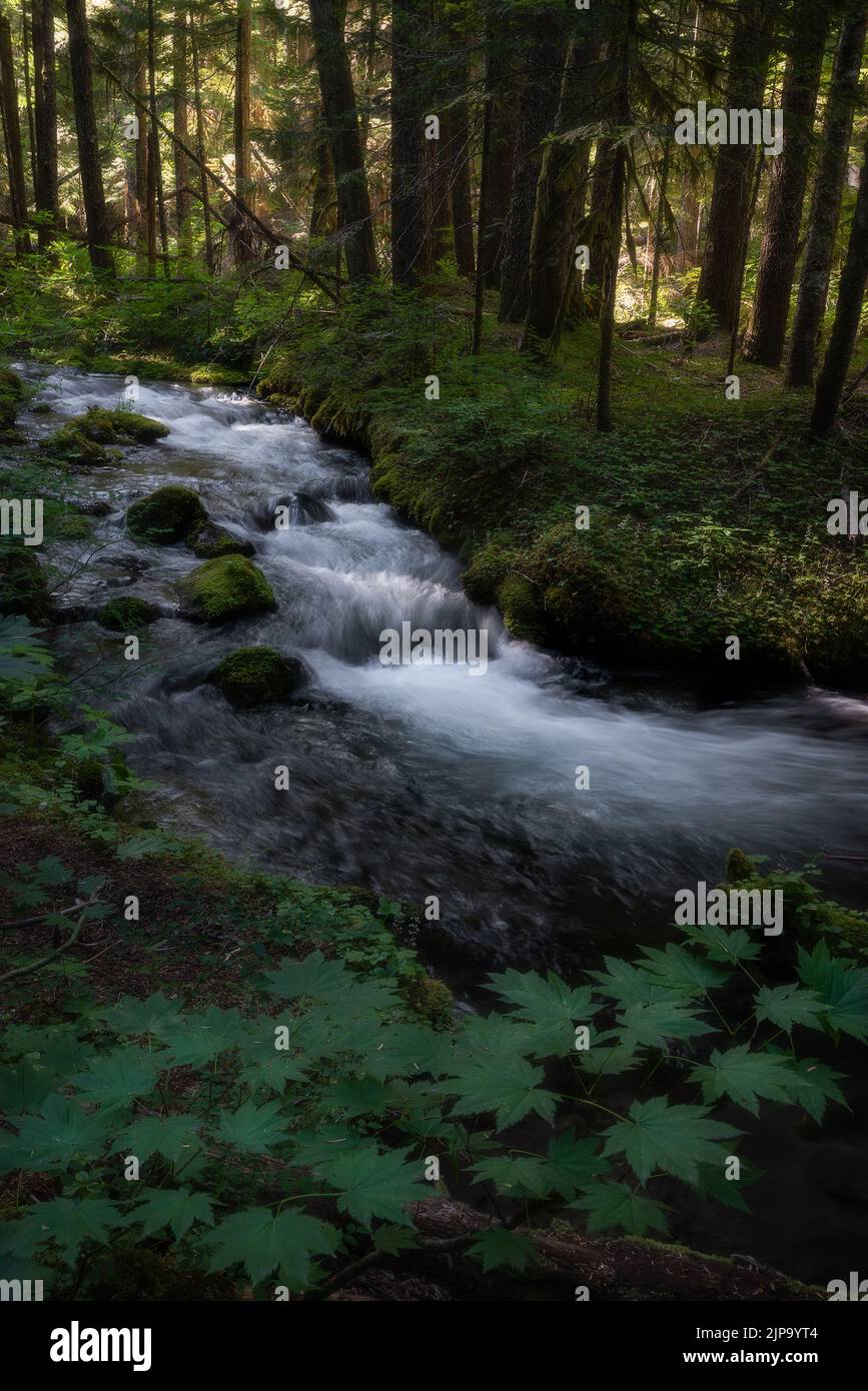 Paisajes encantados fotografías e imágenes de alta resolución Alamy