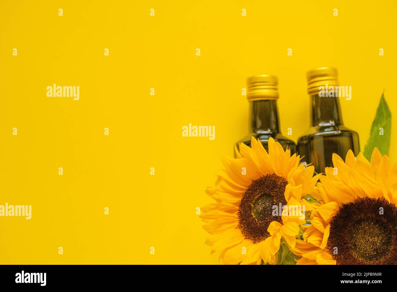Aceite de girasol. Botellas de aceite y girasoles en un amarillo brillante background.Organic natural granja aceite de girasol. Aceites comestibles. Vista superior, espacio de copia Foto de stock