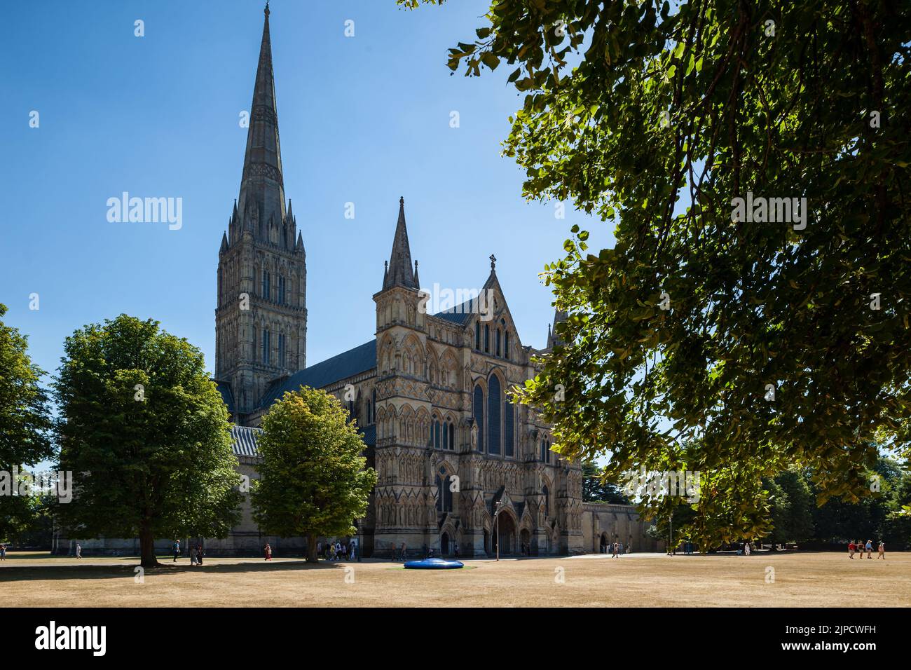 Catedral de Salisbury en verano, Wiltshire, Inglaterra. Foto de stock