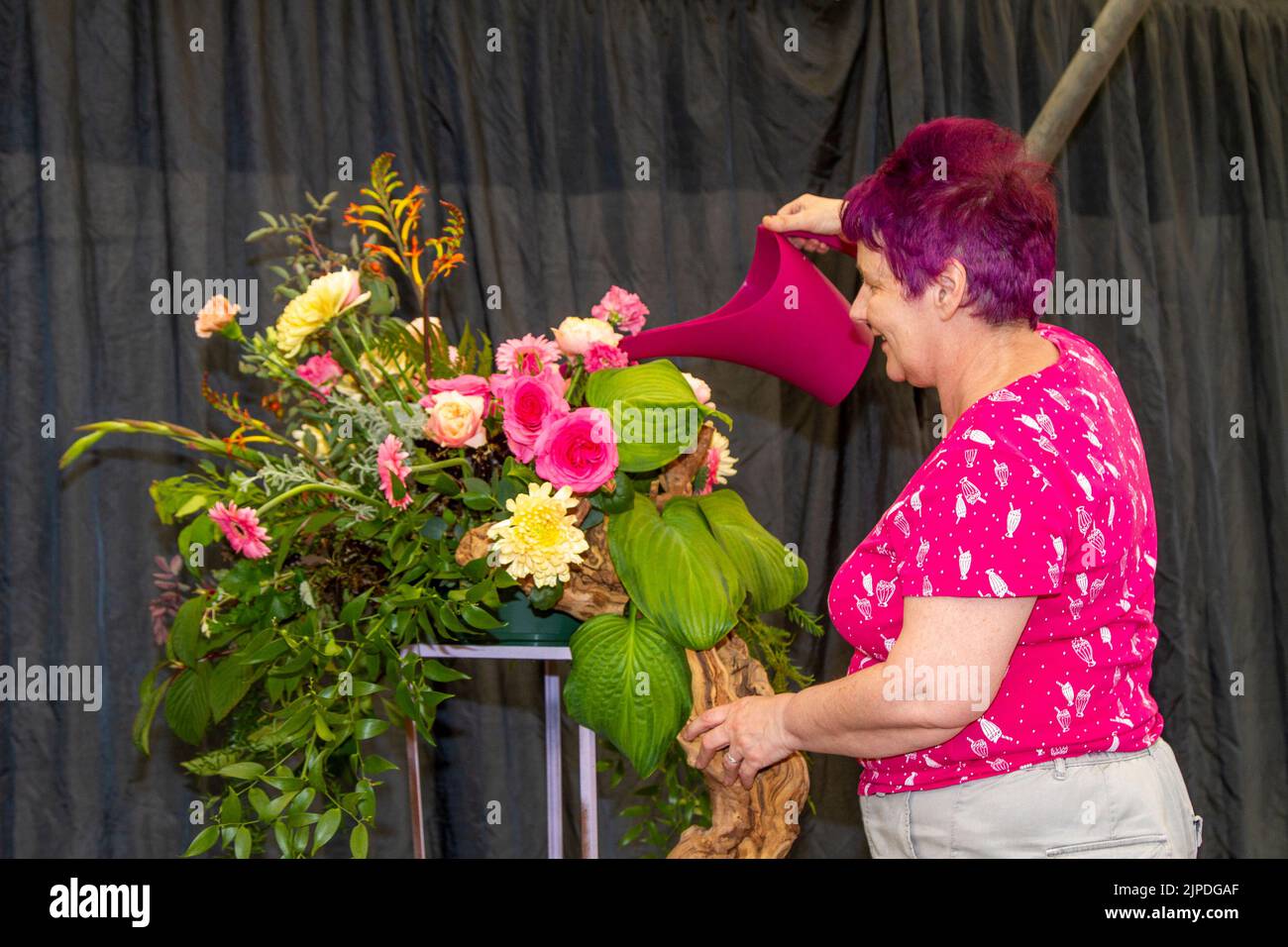 Southport Flower Show, Merseyside, Reino Unido. 17th de agosto de 2022: La feria independiente de flores más grande de Inglaterra, está esperando miles de visitantes durante el evento de cuatro días. Crédito: Mediaworld Images/Alamy Live News Foto de stock