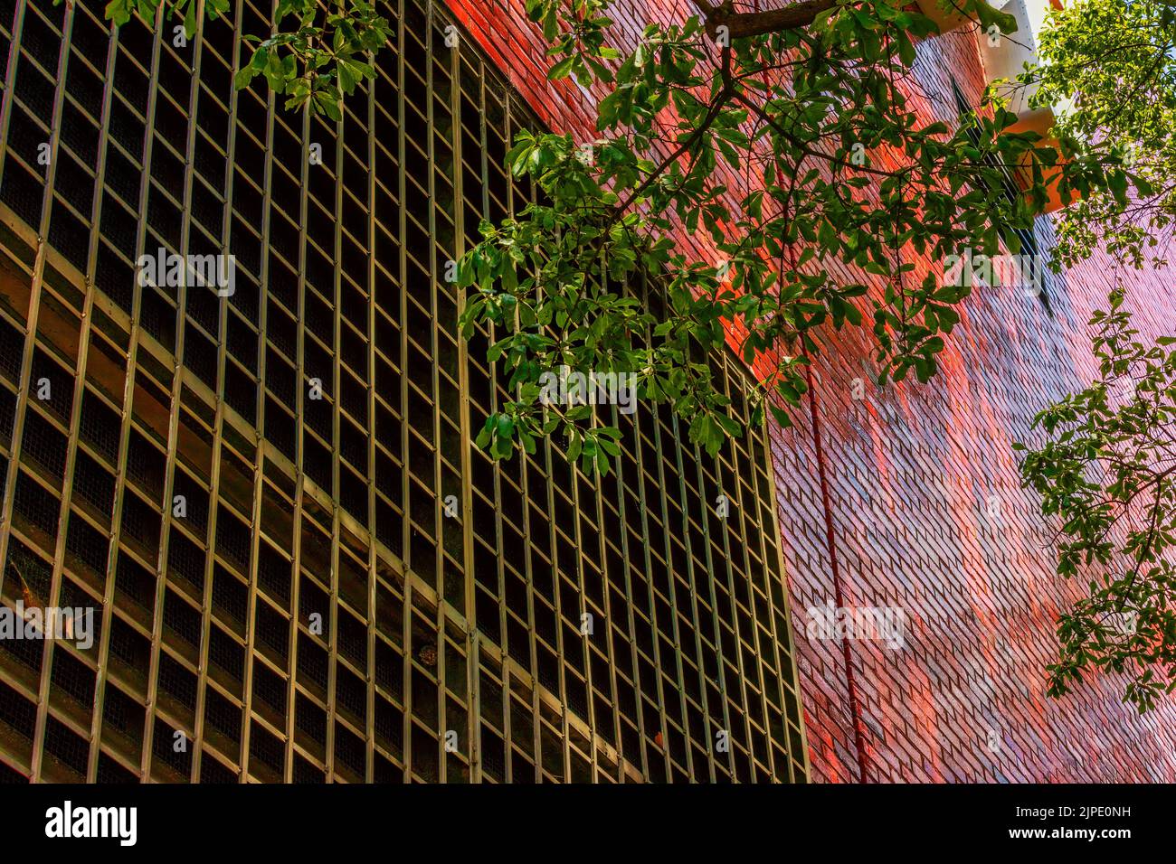 Ramas de árboles con hojas verdes delante de una pared exterior de ladrillo rojo brillante y rejilla metálica para los fondos. Foto de stock