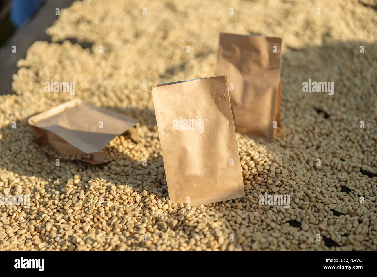 Bolsas de papel en la estación de lavado de café en la región de África oriental Foto de stock