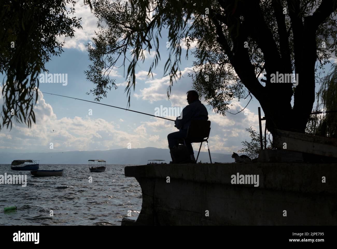 Silueta de un pescador deportivo y un gato oportunista detrás de él bajo un árbol en el lago Ohrid, Macedonia del Norte. Foto de stock