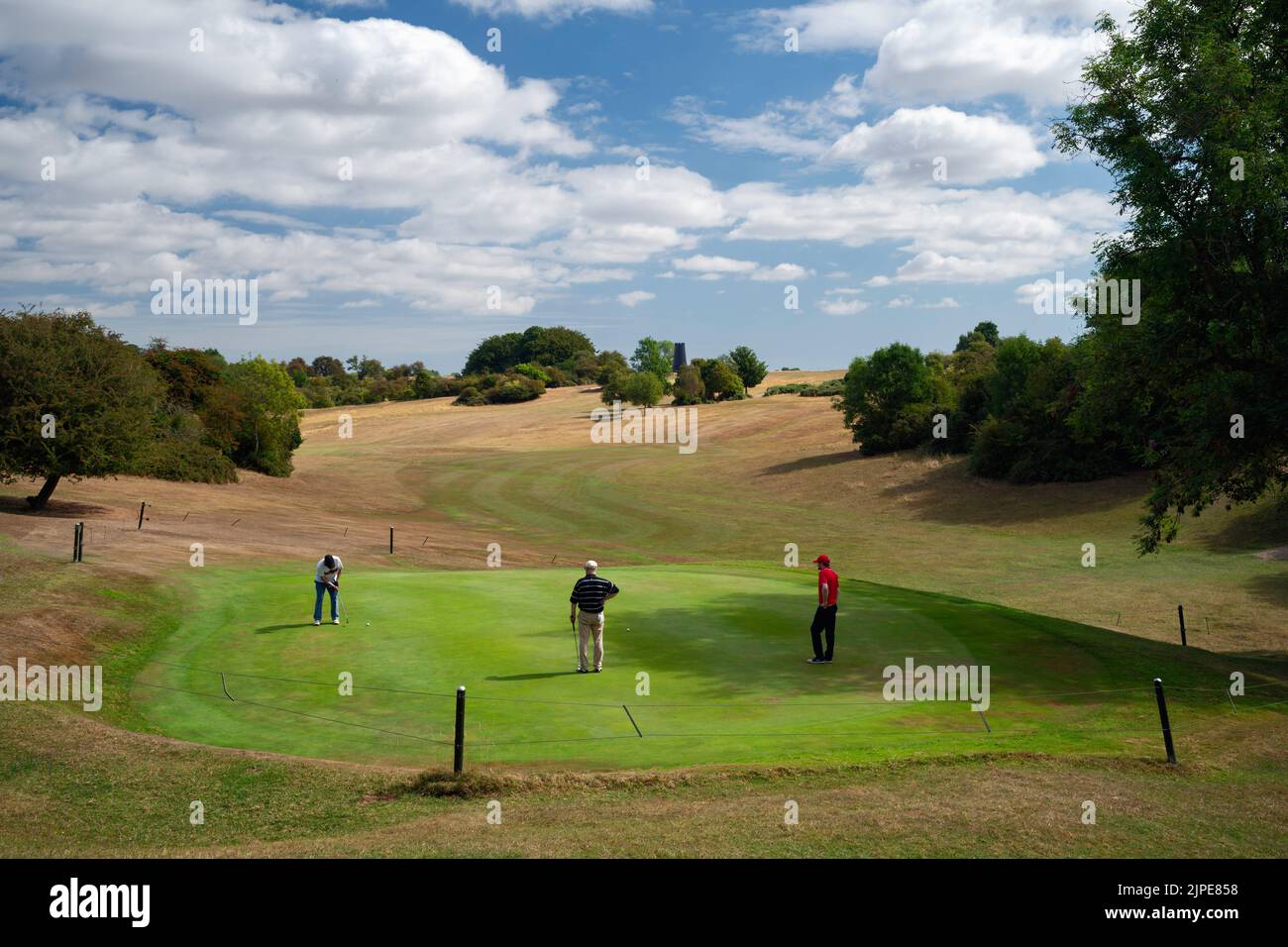 Los golfistas están rodeados de praderas resecadas que juegan en putting green recién regadas durante la ola de calor extrema en Westwood, Beverley, Reino Unido. Foto de stock