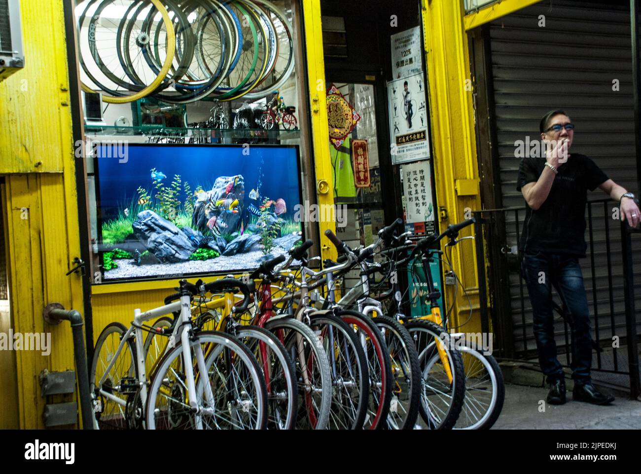 Nueva Bo Bo Bicycle Shop con un acuario en la ventana, Elizabeth Street, Little Italy, Nueva York, NY, EE.UU Foto de stock