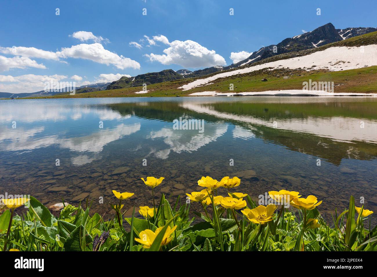Lago de montaña y flores silvestres en las tierras altas de la ciudad de Uzungol en la región del Mar Negro de Turquía Foto de stock