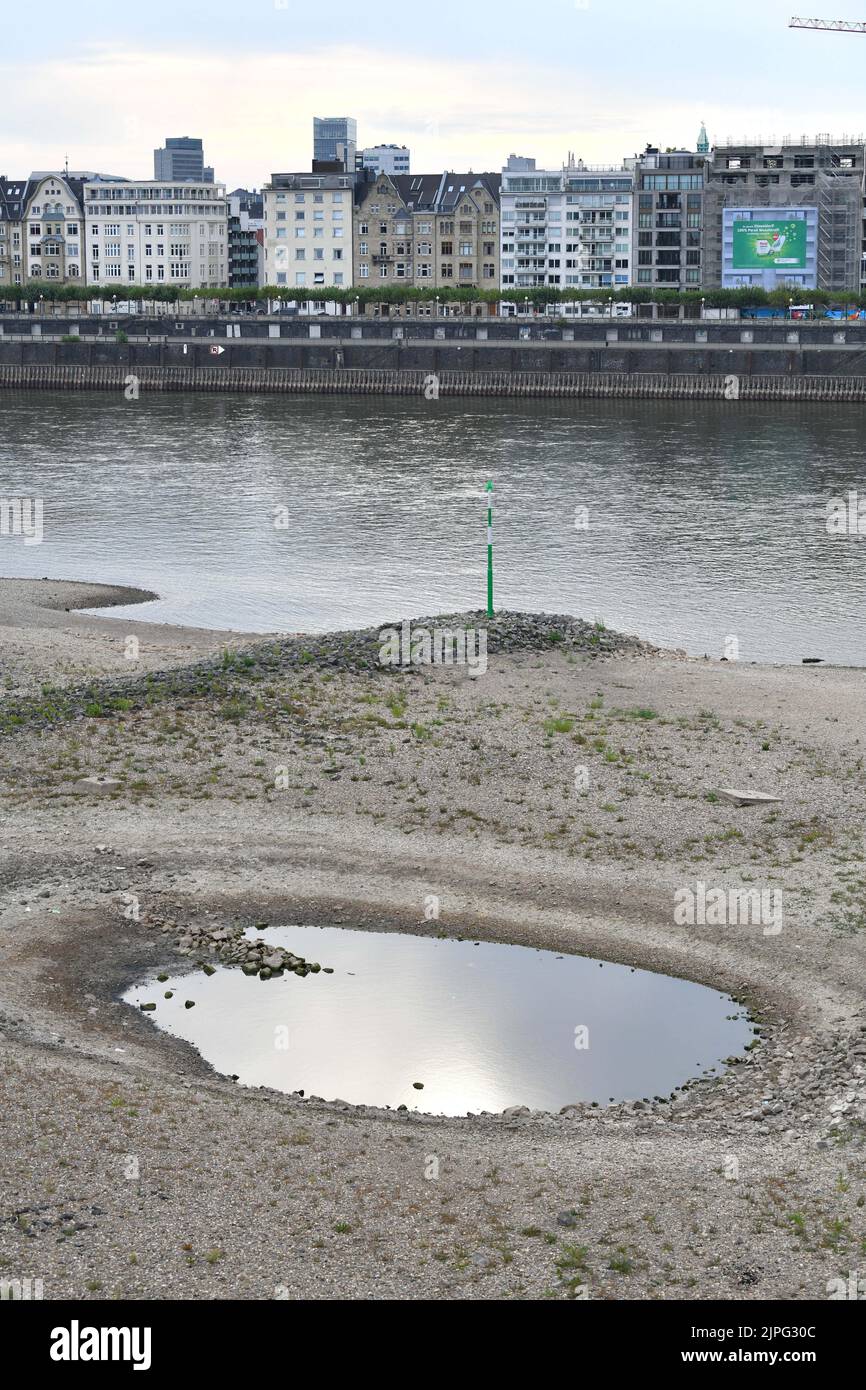 Berlín, Alemania. 17th de Ago de 2022. Foto tomada el 17 de agosto de 2022 muestra el río Rin en Dusseldorf, Alemania. El nivel de agua del río Rin ha disminuido debido a las altas temperaturas y a la sequía. Crédito: REN Pengfei/Xinhua/Alamy Live News Foto de stock