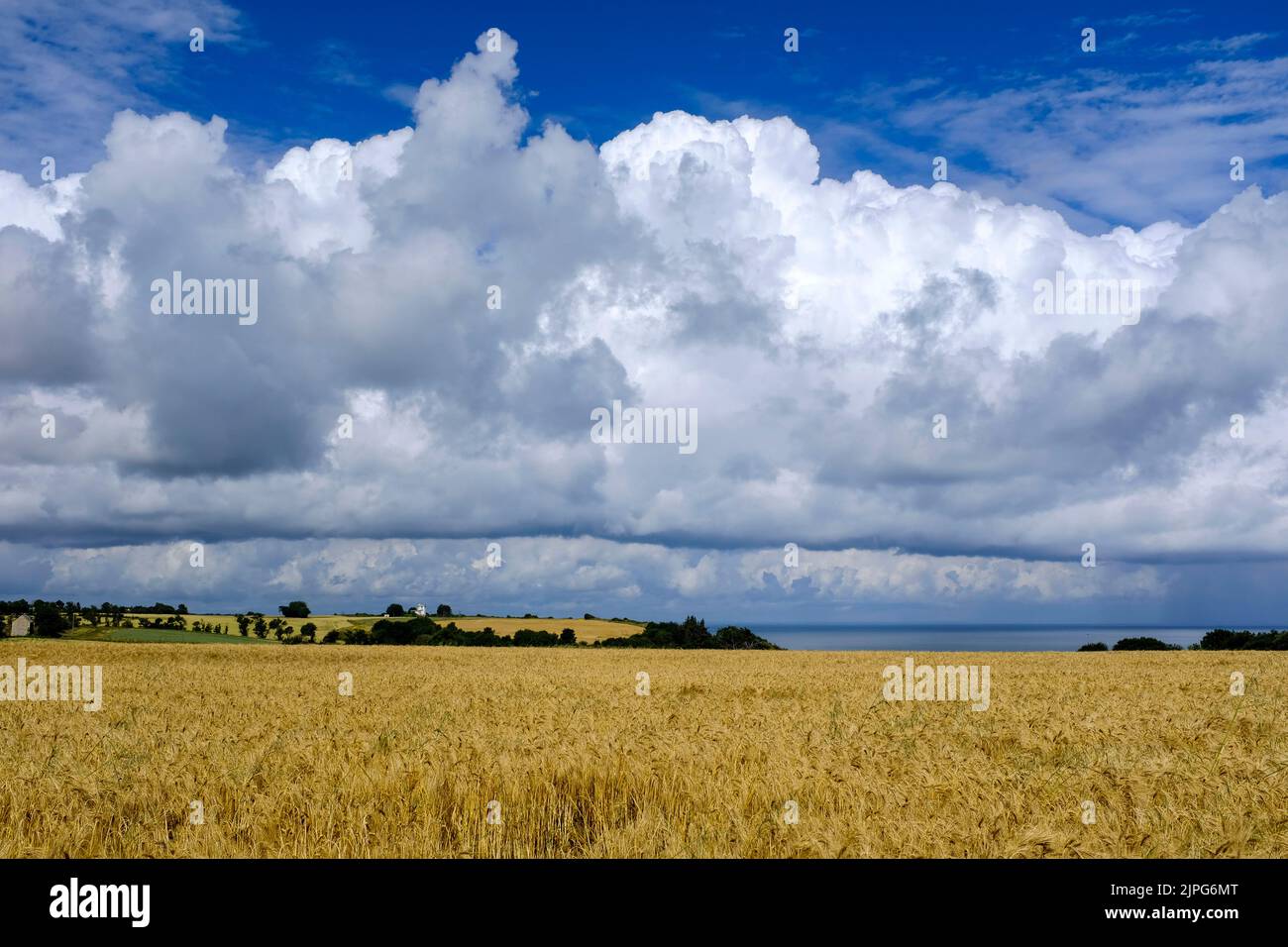 Frankreich, Longues-sur-Mer, 30.06.2022: Weite Landschaft unter eindrucksvollen Wolken am Meer mit Getreidefeldern bei Longues-sur-Mer an der franzoes Foto de stock