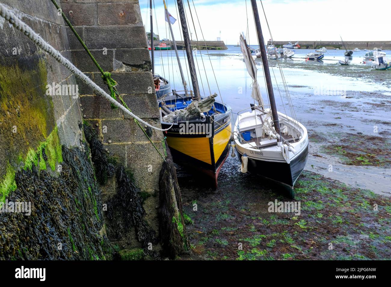 Frankreich, Barfleur, 05.07.2022: Zwei traditionelle Segelboote aus holz liegen bei Ebbe auf Grund an der Hafenmauer im Hafen von Barfleur auf der Hal Foto de stock