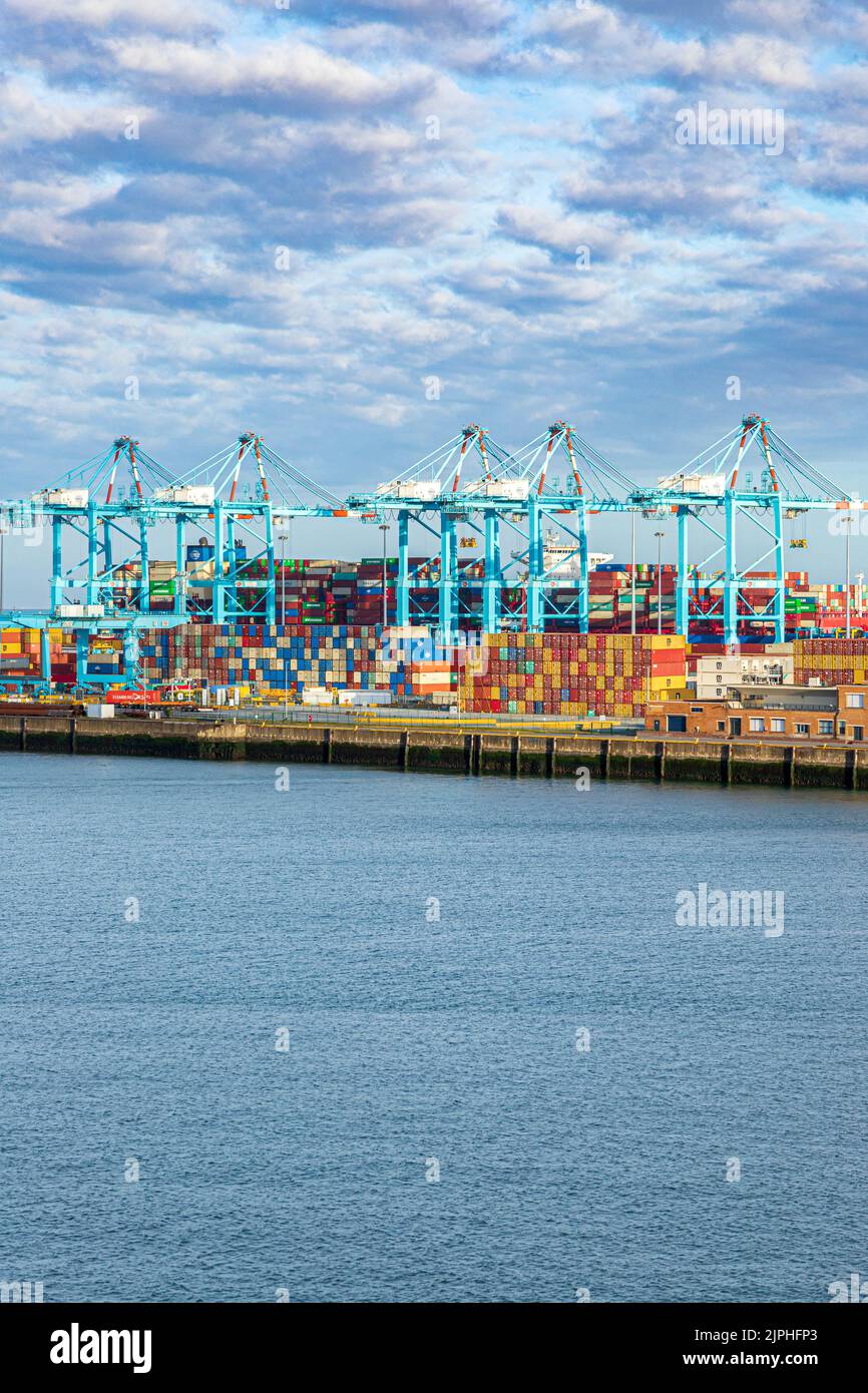 Contenedores en espera de transbordo en el puerto de Zeebrugge, Bélgica Foto de stock