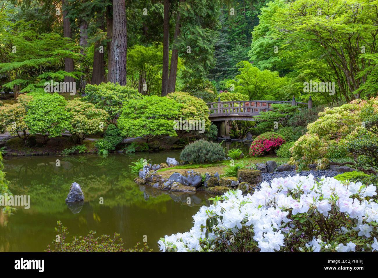 Estanque y zonas verdes ajardinadas en Japanese Garden, Portland, Oregon, EE.UU Foto de stock