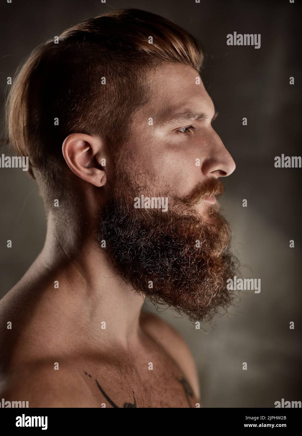 hombre, serio, estilo, barba, barba, hombre, hombres, estilos, barbas, barbas Foto de stock