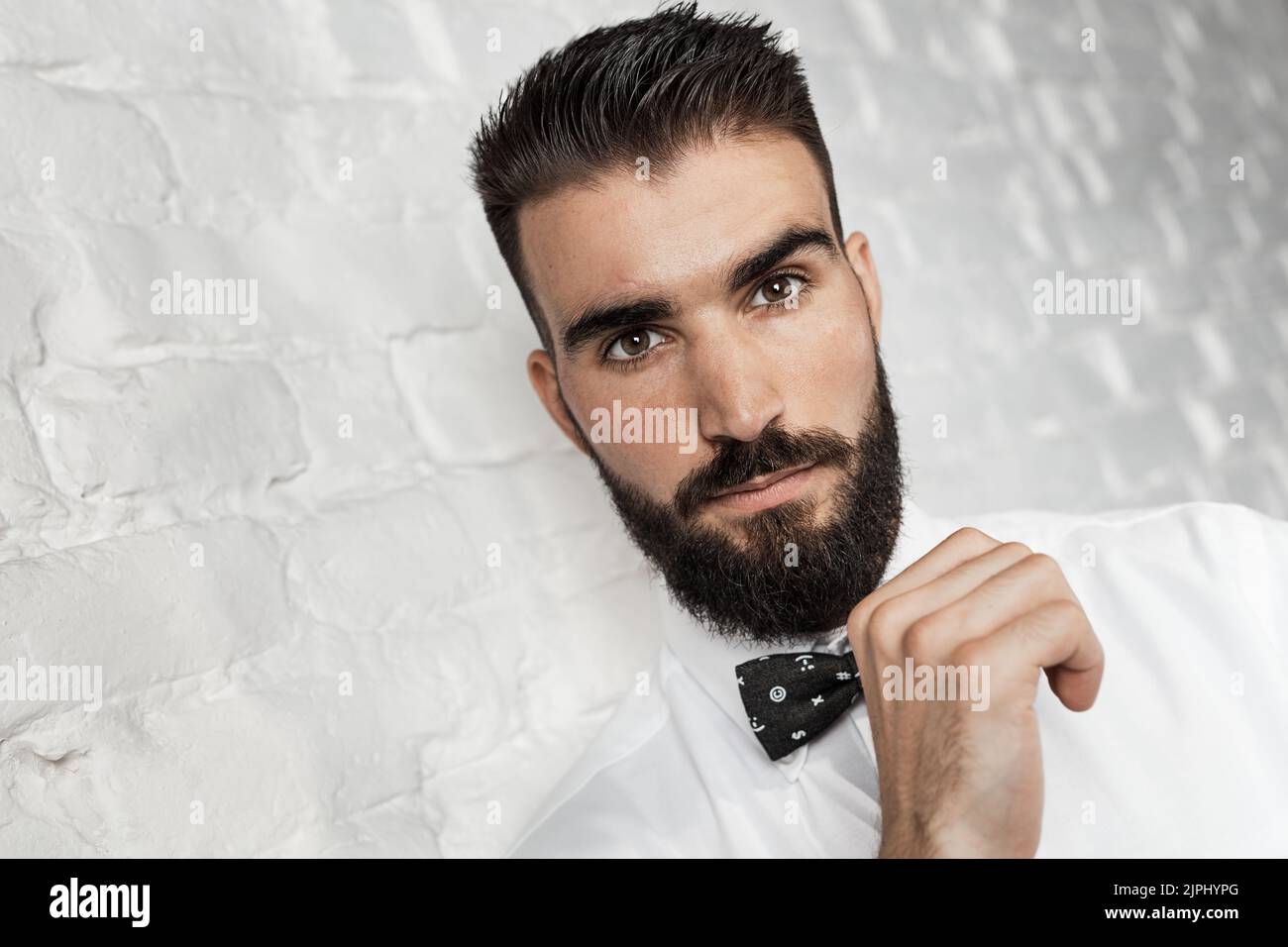 hombre, pajarita, barbudo, hombre, hombre, lazos de proa, beardeds Foto de stock