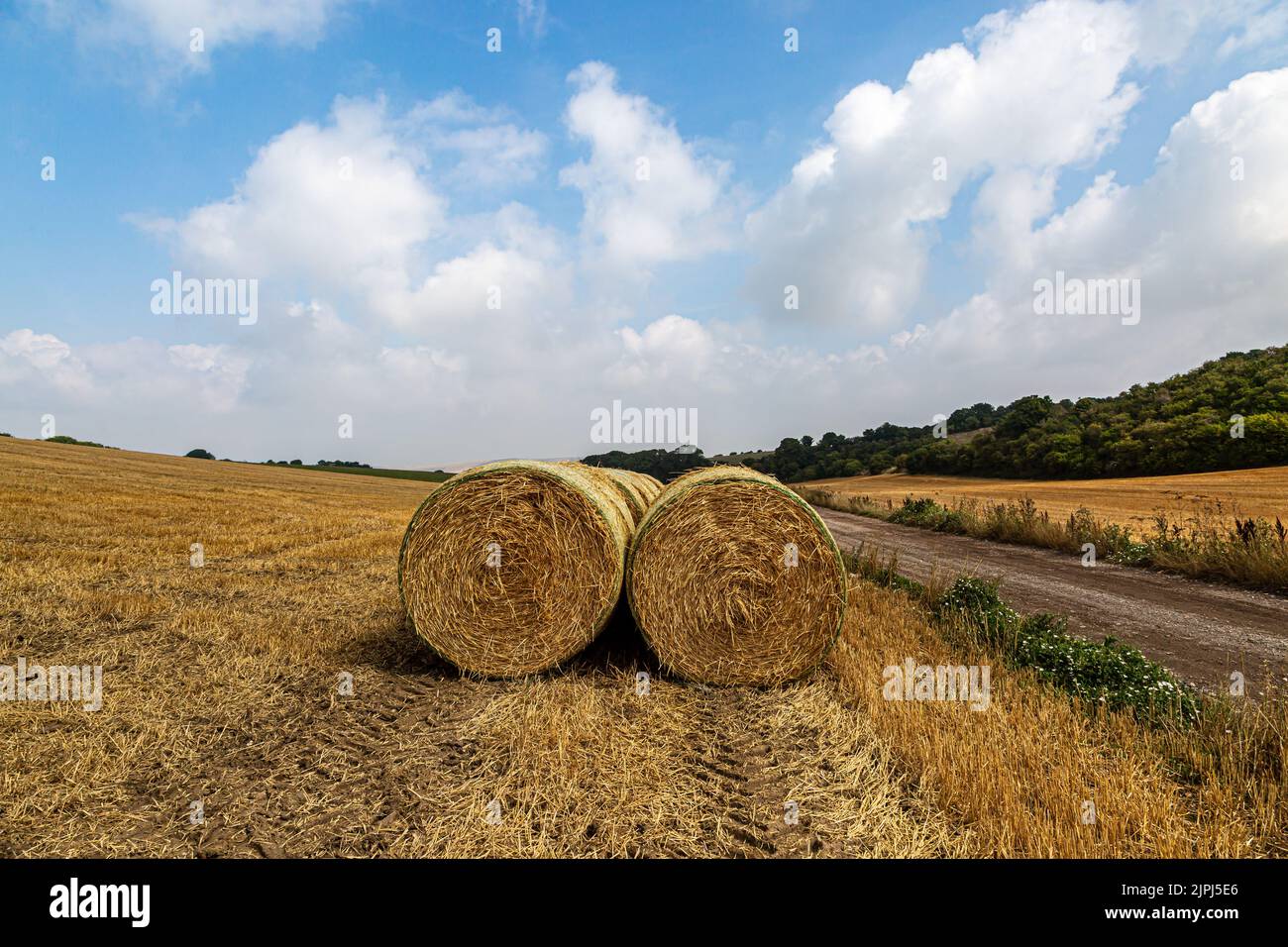 Una escena rural de Sussex con balas de heno en el momento de la cosecha Foto de stock