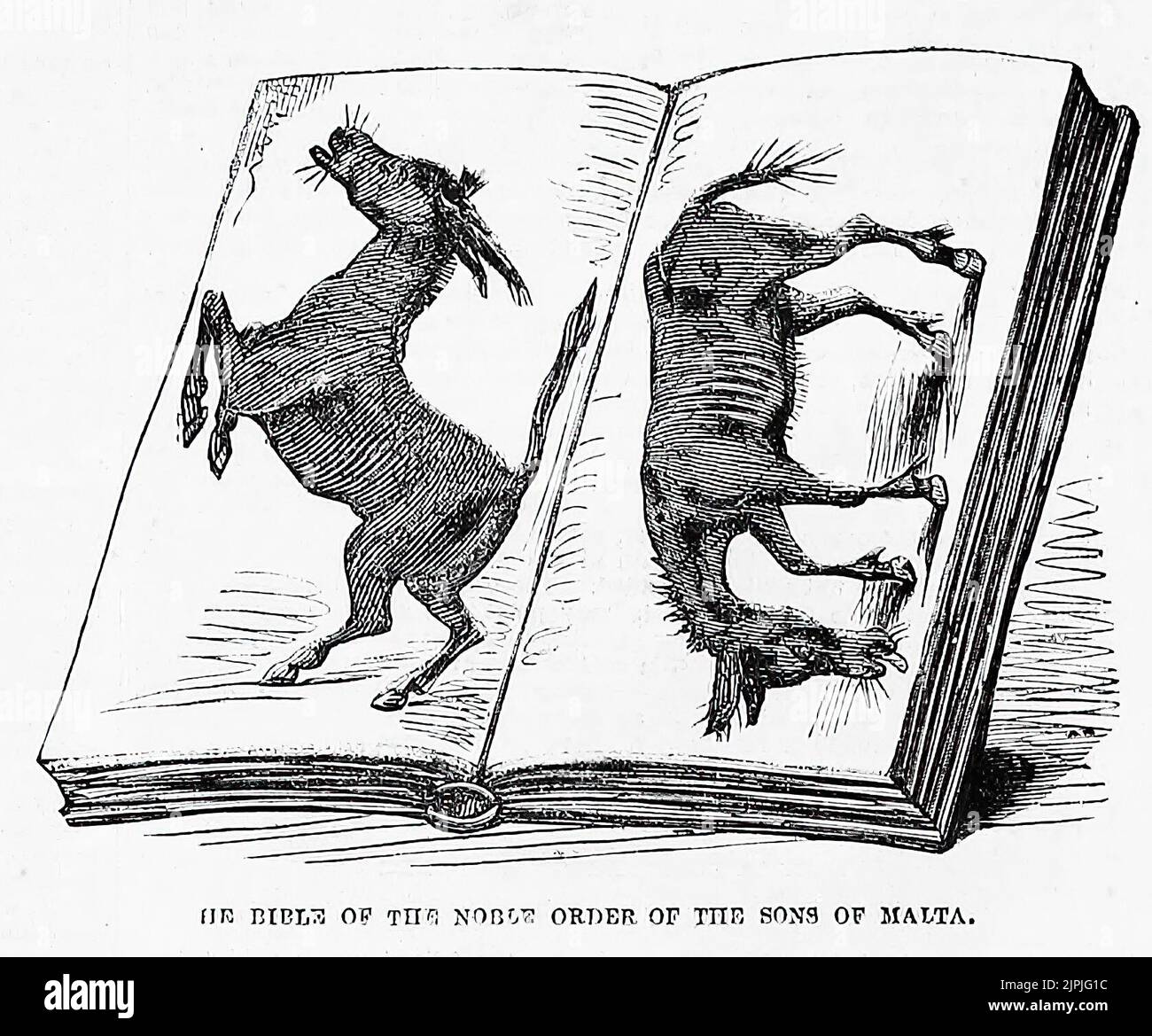 La Biblia de la Noble Orden de los Hijos de Malta (1860). Ilustración