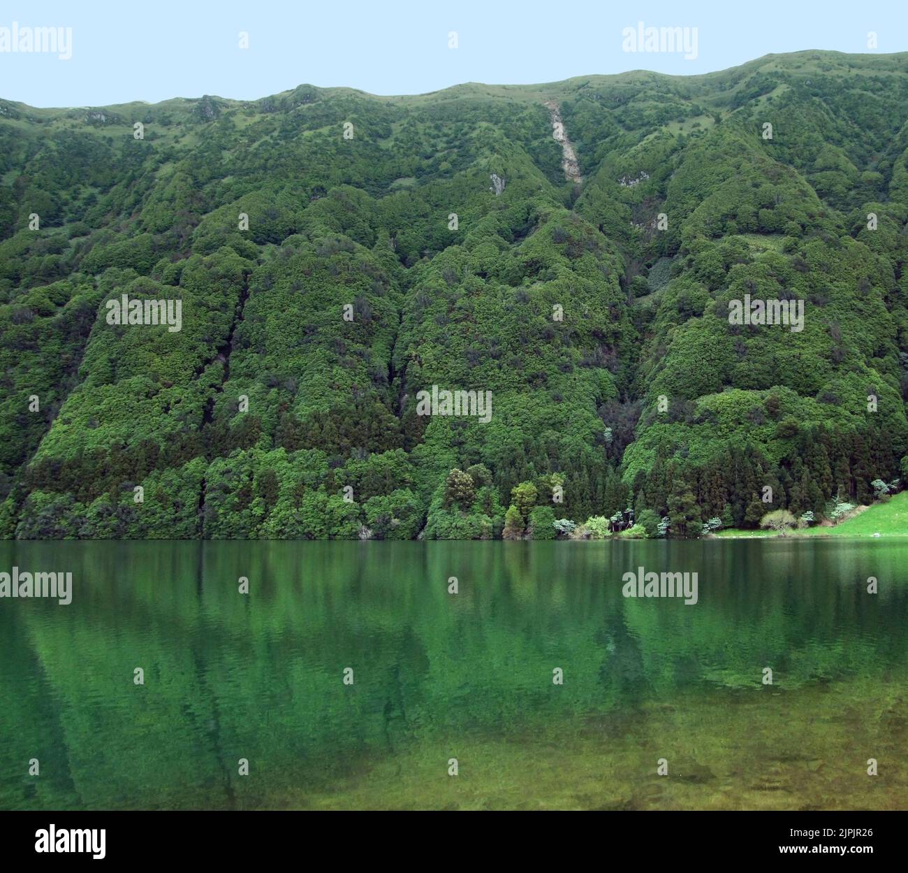 sao miguel, lago del cráter, lagoa verde, são miguel, sao miguels, lagos crater, lagoa verdes Foto de stock