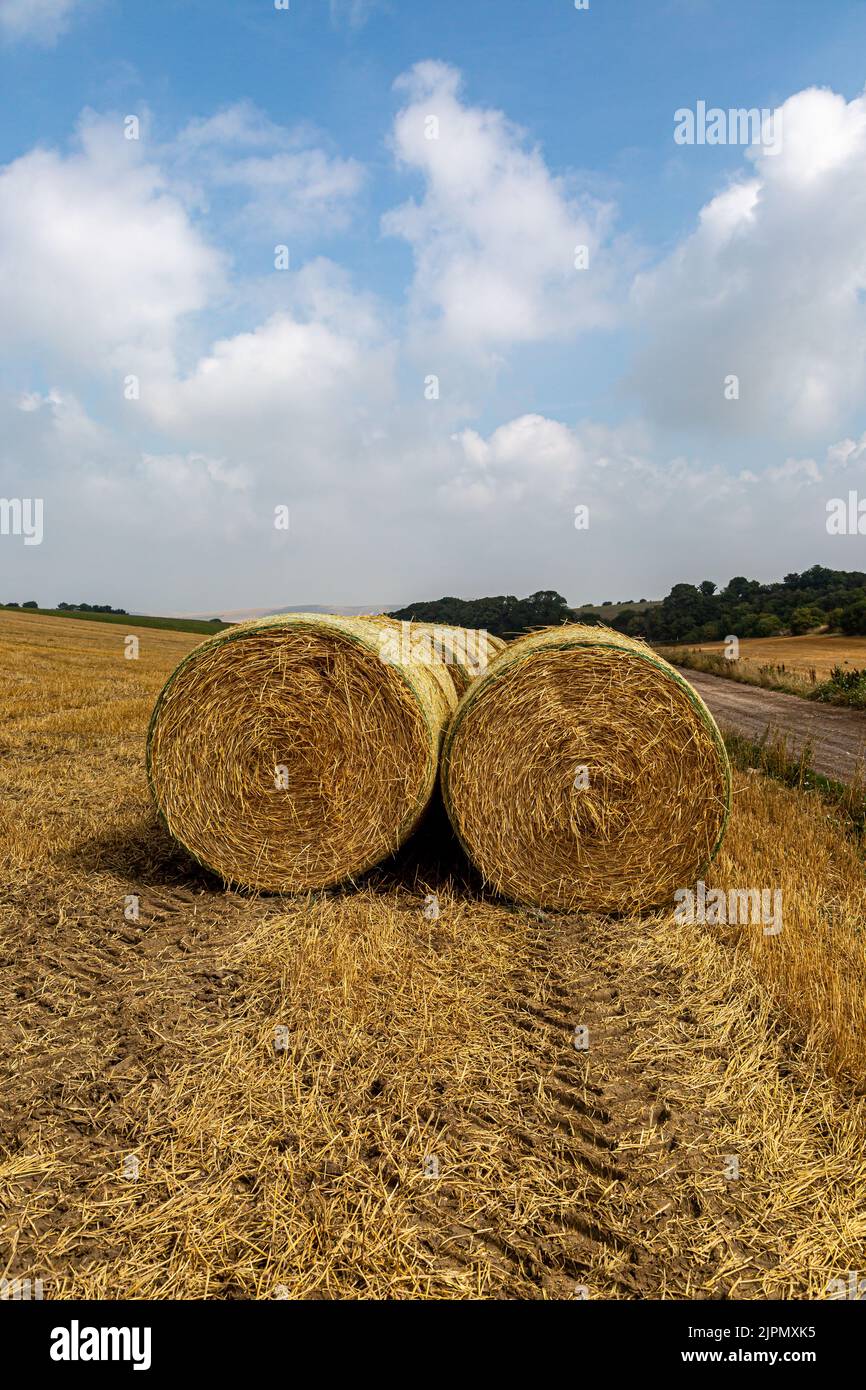 Balas alineadas en la campiña de Sussex en un día de verano Foto de stock