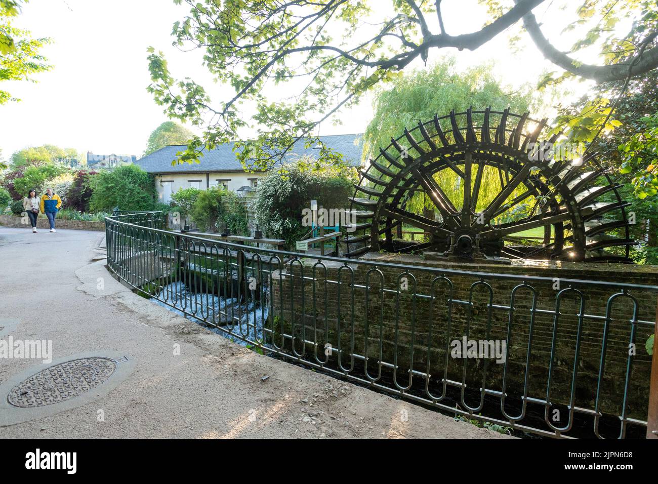 Francia, Sena Marítimo, Cote d'Albatros, Pays de Caux, Veules les les