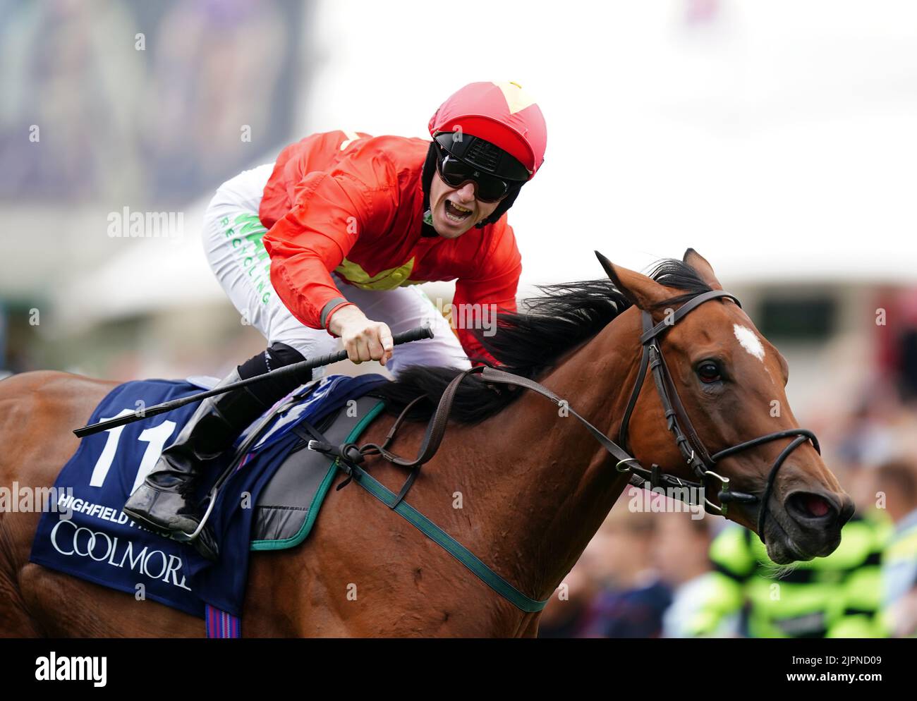 Coolmore wootton bassett nunthorpe apuestas fotografías e imágenes de