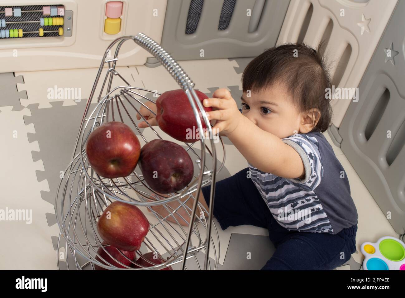 niño de 11 meses de edad en casa llegando a sacar la manzana del estante de alambre Foto de stock