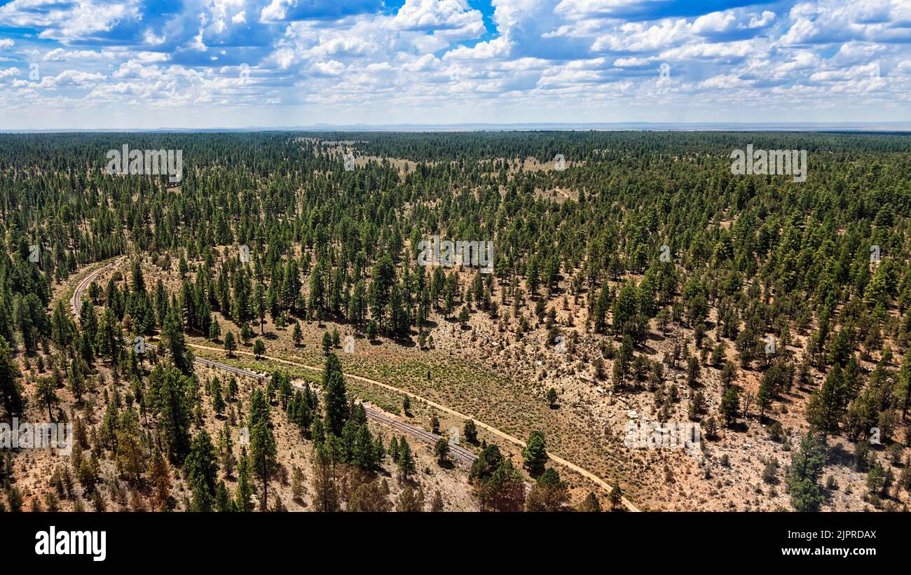 Vista del Bosque Nacional Kaibab, paisaje, vista aérea, Arizona, EE.UU Foto de stock