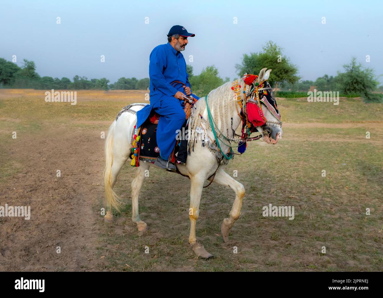 Disfraz de jinete de caballo fotografías e imágenes de alta resolución -  Alamy