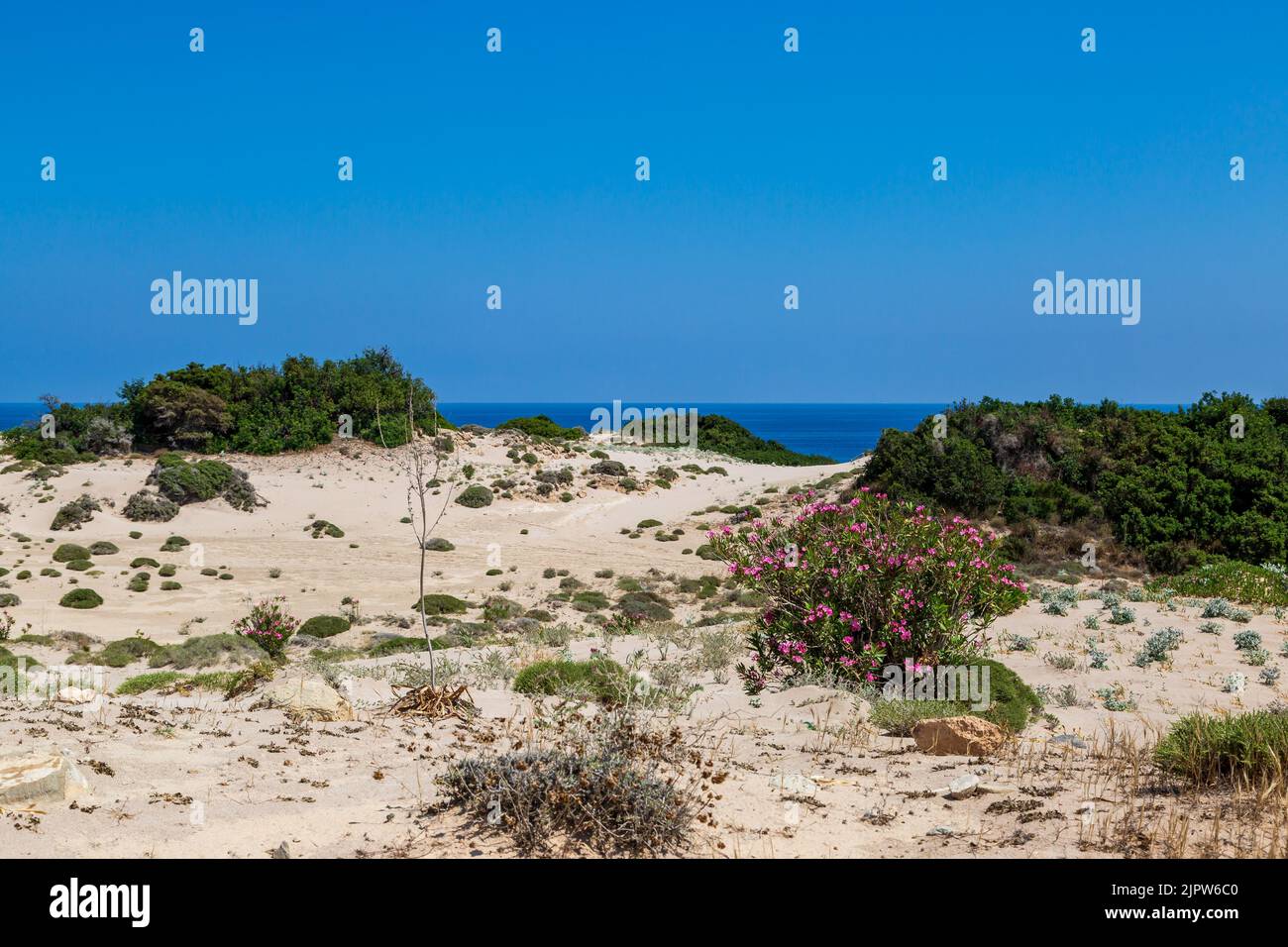 Una vista sobre dunas de arena hacia el océano, en Golden Beach en el norte de Chipre Foto de stock