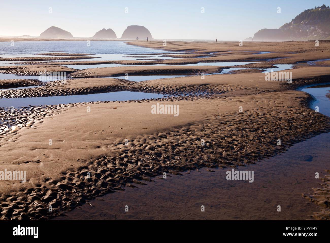 Playa de Netarts en la costa de Oregón en marea baja Foto de stock