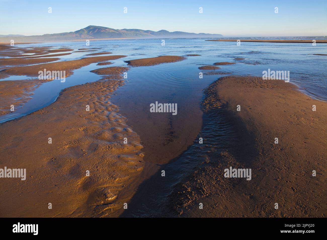 Playa de Netarts en la costa de Oregón en marea baja Foto de stock