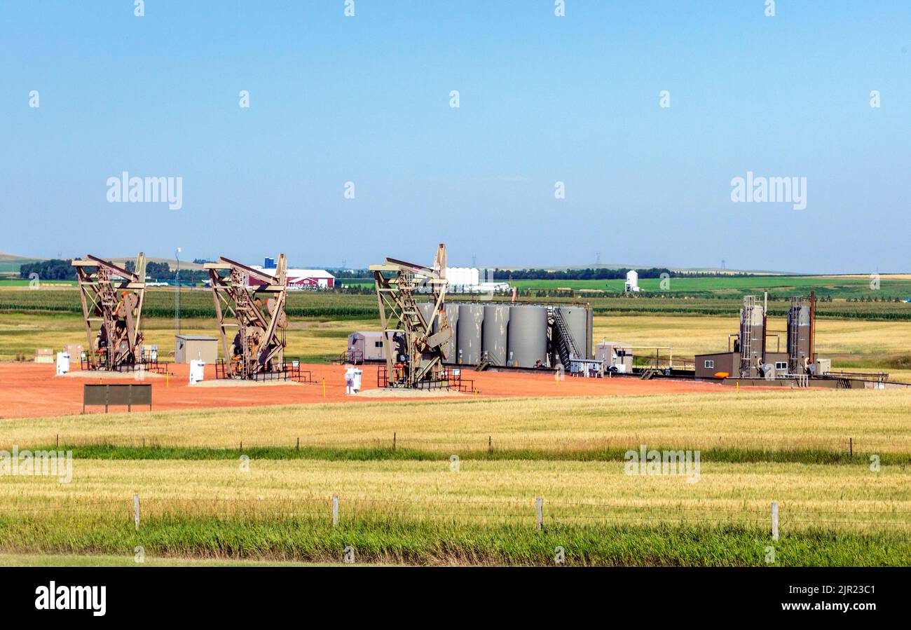 Pozos de petróleo con pumpjacks en funcionamiento, tanques de almacenamiento en un campo de petróleo cerca de Dickinson, Dakota del Norte Foto de stock