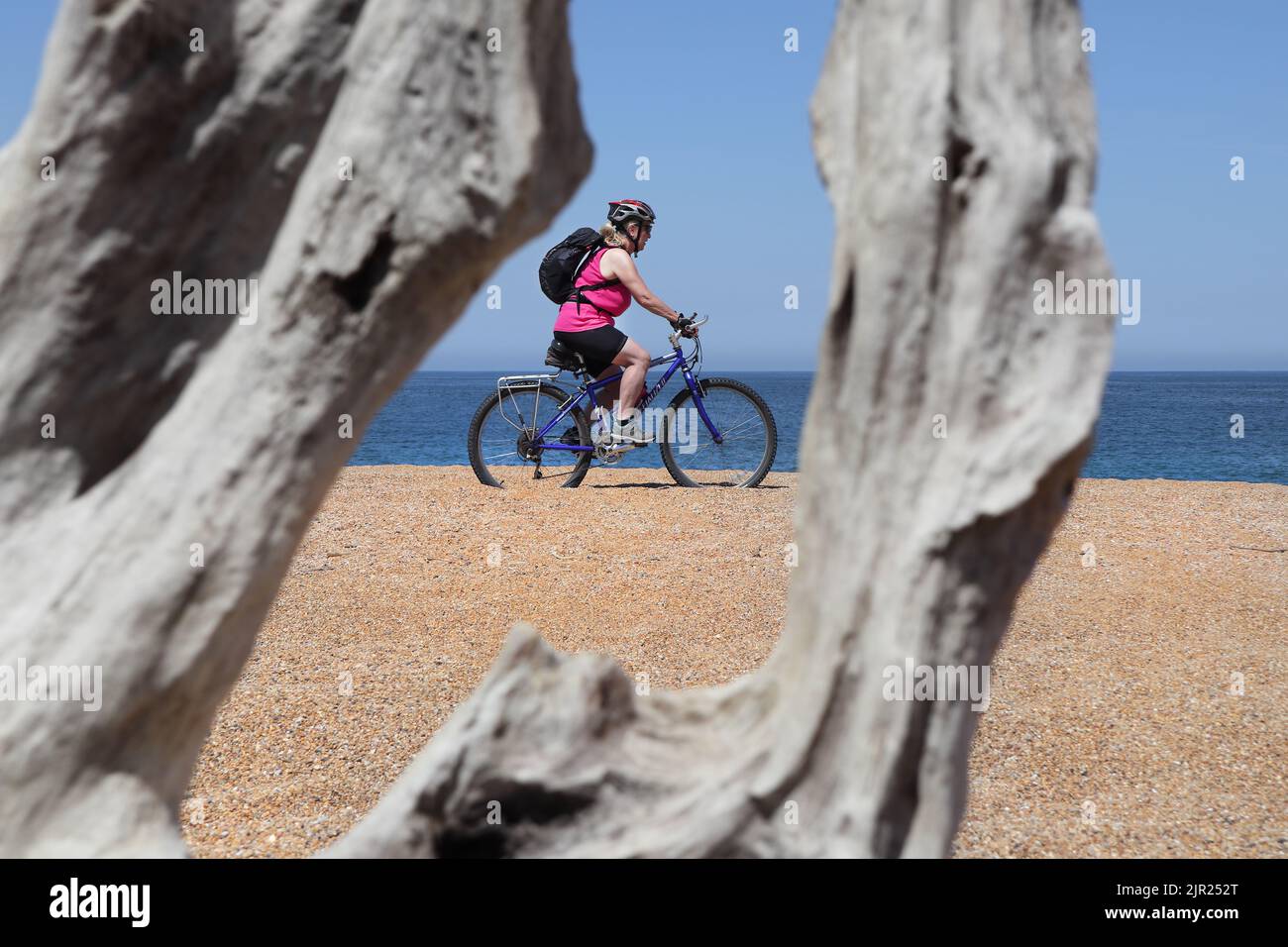 Ciclista en una playa desierta de arena enmarcada por un pedazo envejecido de madera a la deriva, Capbreton, Francia Foto de stock